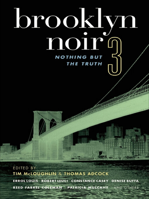 Cover image for Brooklyn Noir 3